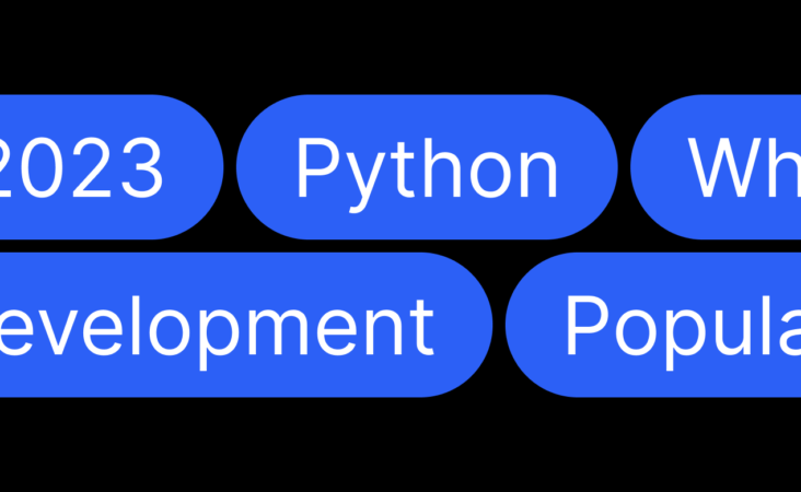 Python popular stack language in 2023